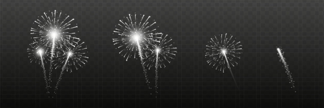 Vector Brightly Colorful Fireworks on the background of the night sky.