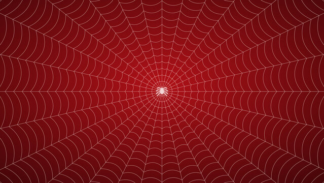 Concentric fine cobweb with spider red background banner
