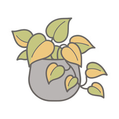 Obraz premium Potted plant with green and yellow leaves