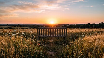 Obraz premium Wooden bench in wheat field at sunset with wildflowers, representing peace, solitude, nature, landscape, countryside, relaxation, evening light, and rural scenery.