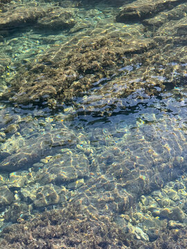 Crystal clear sea water with rocky seabed vertical