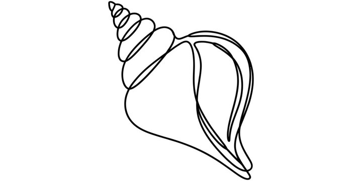 Seashell drawing made with a single continuous black line isolated on a white background Vector, illustration