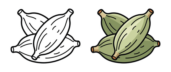 Fototapeta premium Green cardamom pods with outline drawing for spice ingredient and aromatic flavor.