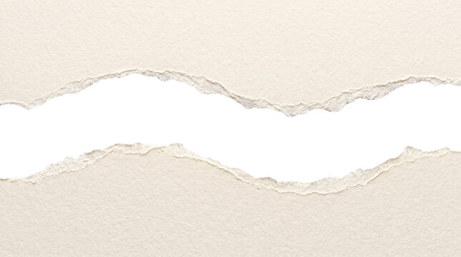 Torn Paper Texture with White Space in Middle 1.