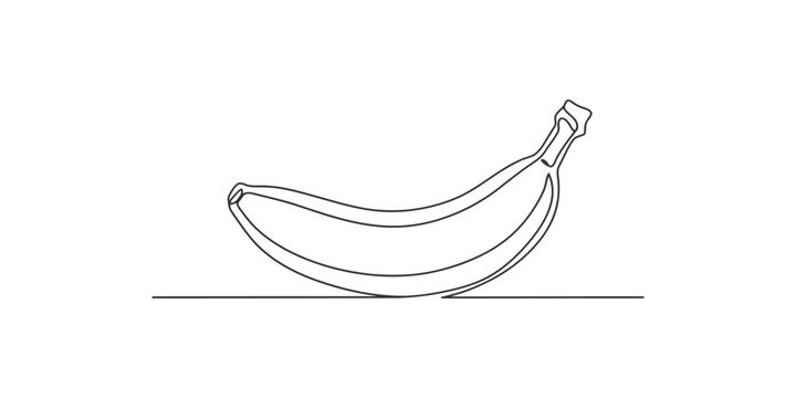 Continuous single line drawing of a ripe banana fruit