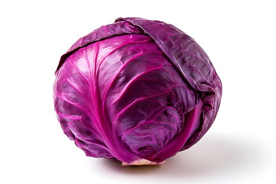 Fresh whole red cabbage isolated on white background