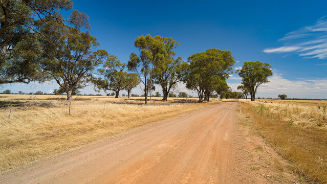 Dirt road through dry farmland near Savernake
