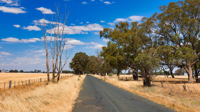 Australian country road between harvested fields and trees