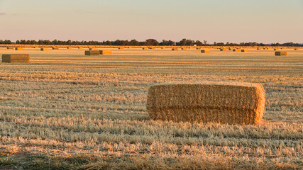 Evening sunlight on hay bale near Yarrawonga © Alistair