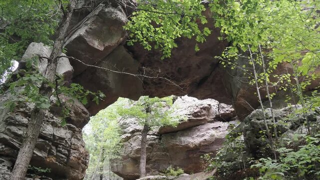 Natural rock arch in dense forest with green foliage