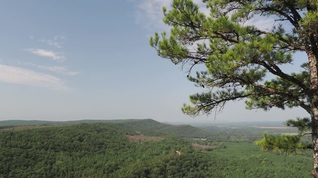 Aerial view of Mount Magazine forest landscape with pine tree