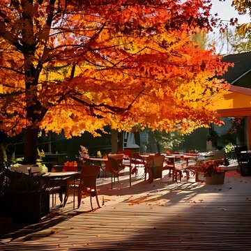 Beautiful outdoor cafe terrace with vibrant autumn foliage and golden sunlight.