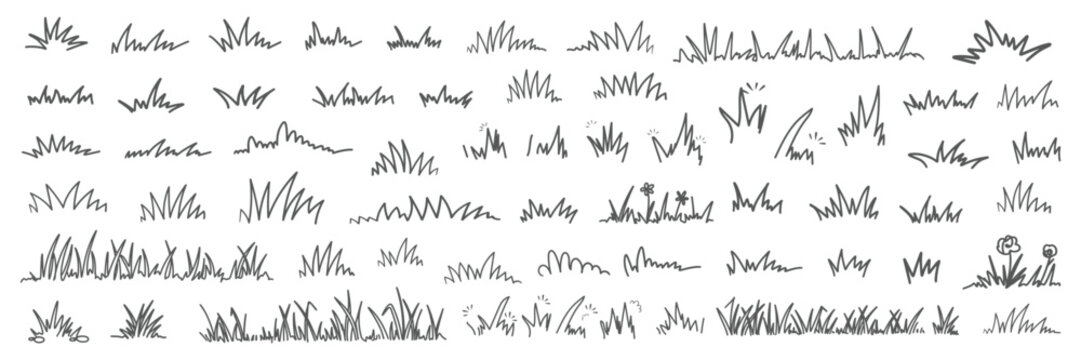 Grass line doodle. Outline grassland or meadow sketch, field design. Black grass brush stroke, hand drawn texture for garden pattern or lawn. Herb marker isolated vector element
