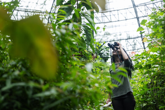 Woman Exploring Nature with Binoculars Inside a Tropical Botanical Dome