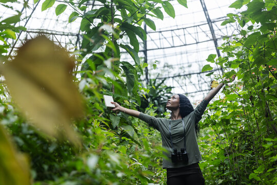 Woman with Open Arms Enjoying Nature Exploration Inside a Botanical Dome
