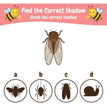 Find the correct shadow logic game for kids featuring cicada insect silhouette activity