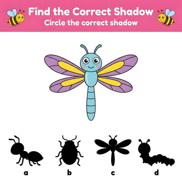 Find correct shadow of dragonfly for kids matching game illustration