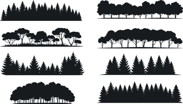 Tree Silhouette Forest Borders Collection Featuring Pine Coniferous Deciduous Trees and Landscape Horizon Vector Elements