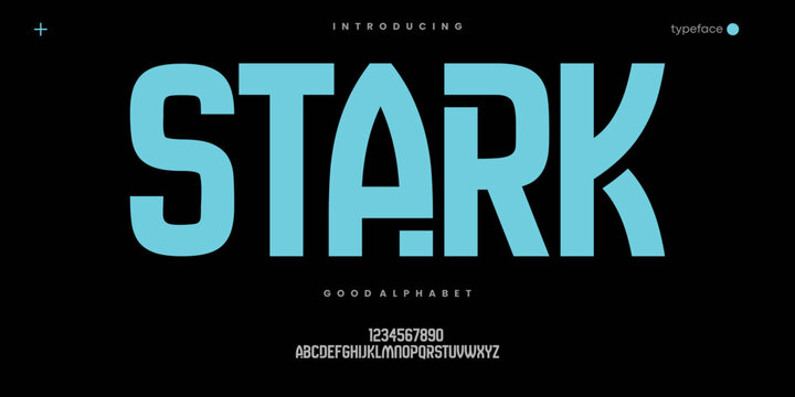 Bold Condensed Sport Font for Racing Logo Athletic Branding and Typography