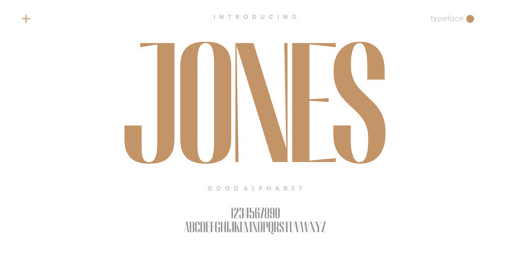 Elegant High Contrast Serif Font for Luxury Fashion Branding and Editorial Design