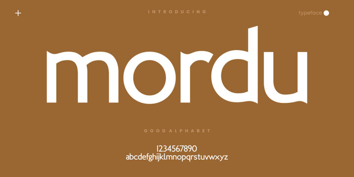 Modern Rounded Sans Serif Font for Logo Branding and Minimal Typography