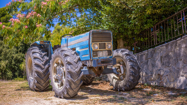 ein alter blauer Traktor unter einem Baum