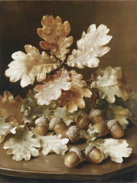 Acorns and oak leaves in a classical still life painting
