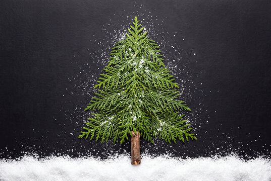Minimal Christmas tree made of pine branches on a black background wit