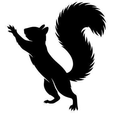Black silhouette of a standing squirrel with squirrel silhouette wildlife isolated