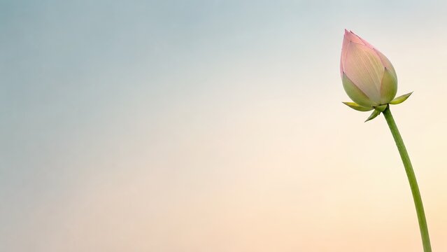 Dusty Blue Lotus Bud Gradient Background, Minimal Wellness Banner, Empty Space