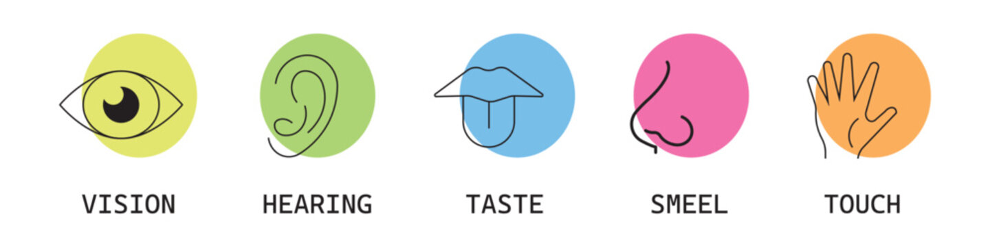 Human senses icon set. Vision eye, smell nose, hearing ear, touch hand, taste mouth with tongue. Simple line icons and black circle. Five senses of human nervous system. Vector illustration.
