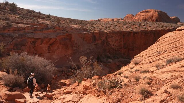 Woman Walking With Dog on Leash in Desert Landscape of Utah, Hiking Trails Outside Moan USA