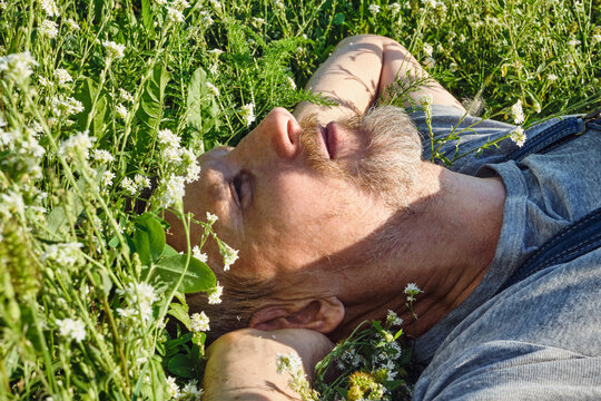 Mature man lying among wildflowers, looking at sky and doing nothing