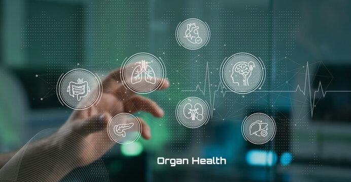 Hand interacting with digital interface displaying icons of various organs for organ health and medical technology