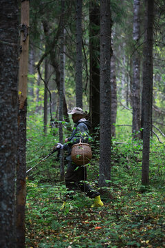Mushroom Forager with Basket Wandering Green Forest in Autumn Scenery