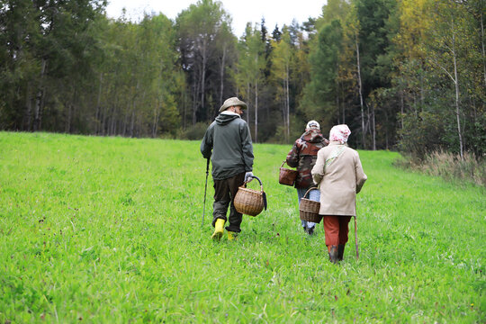 Family Mushroom Foraging Trip in Lush Green Forest Field
