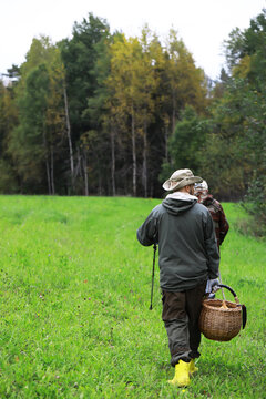 Mushroom Foraging Adventure: People Hiking with Baskets in Vibrant Autumn Forest Setting