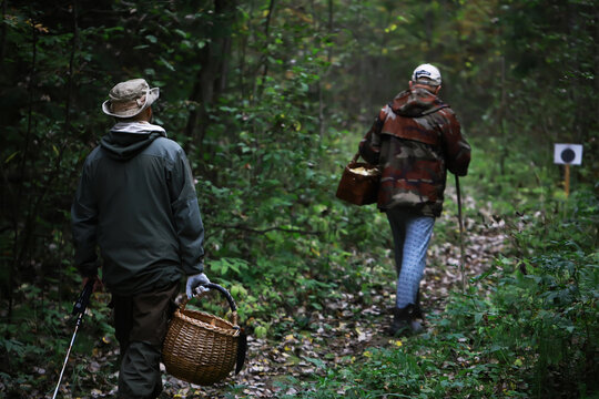 Mushroom Foraging Adventure: Two People in Forest with Wicker Baskets