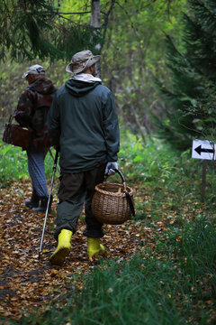 Mushroom Foragers in Rain Gear Exploring a Forest Trail
