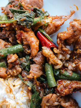Thai Stir-Fried Pork with Red Curry Paste Served Over Rice with Fried Egg