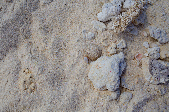 Small rocks and white sand beach in the shore of a tropical beach background texture