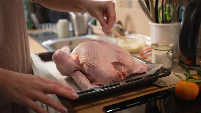 Close-up of woman's hands seasoning whole raw turkey with salt on baking tray, preparing poultry for a traditional festive meal, home cooking, holiday food preparation and family dinner