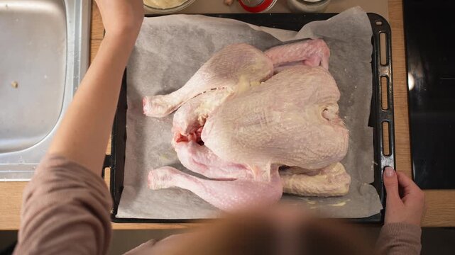 Woman's hands brushing raw turkey with marinade on a baking tray, preparing a festive dinner for thanksgiving day or christmas in a home kitchen, top-down view