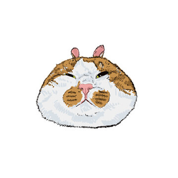 Chubby Orange and White Cat Head Illustration with Sleepy Eyes