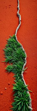 Tennis court surface with brownish red clay joining green grass, outdoor, fence shadows