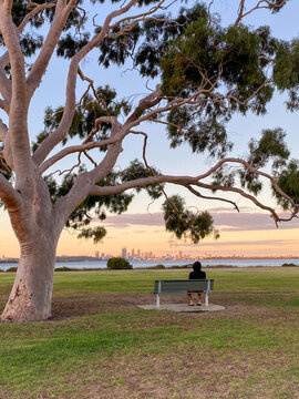 Person sitting on bench watching perth city skyline at sunset