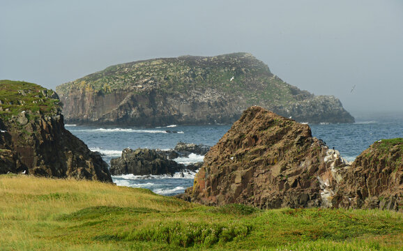 dramatic vistas of sea stacks, distant birds,  and rough surf  in the labrador sea from the grassy cliffs  of the elliston puffin viewing site during nesting season on a  summer day on the bonavista p