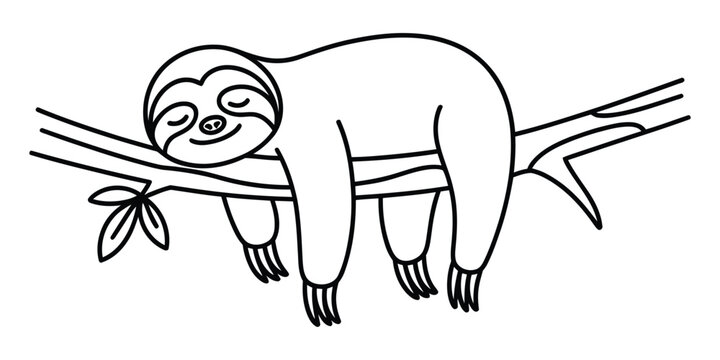 Cute cartoon sloth sleeping on a tree branch line drawing