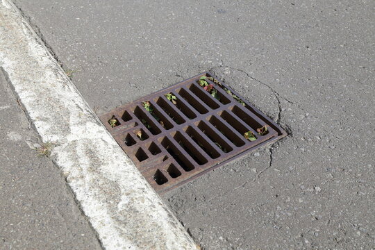 Metal storm drain grate beside an asphalt road in Sapporo, Hokkaido, Japan