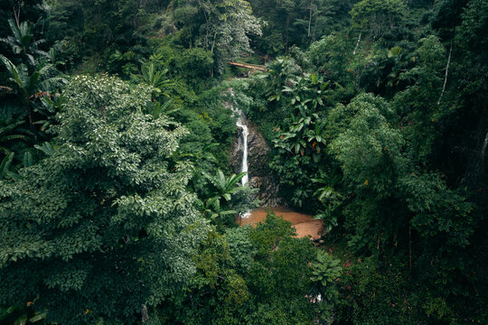 Aerial View of Hidden Waterfall in Dense Tropical Jungle